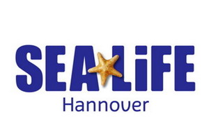 Selbstverteidigung für Mitarbeiter