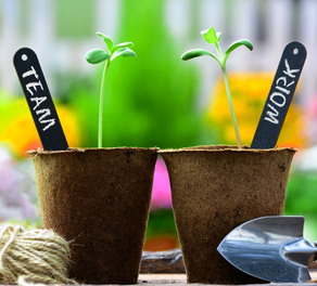 Teamtraining in der Kinder- und Jugendhilfe Teamtraining in der Kinder- und Jugendhilfe - Teamwork und Teamgeist ist wichtig