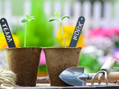 TEAMTRAINING IN DER KINDER- UND JUGENDHILFE